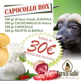 CAPOCOLLO BOX